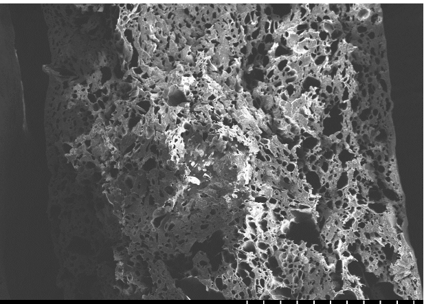 Grayscale micrograph of fractured foam with irregular open-cell pores