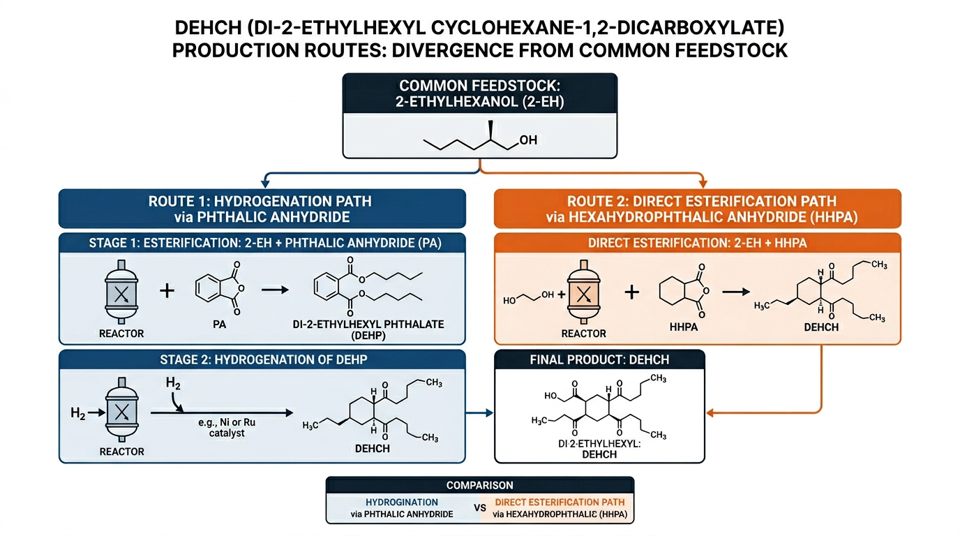 Diagram showing two DEHCH plasticizer manufacturing routes diverging from shared 2-ethylhexanol feedstock into hydrogenation and direct esterification paths