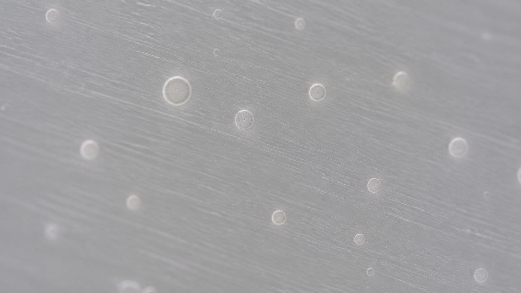 Fish Eye Defects in PVC Products: Causes and Quality Control 1 Circular gel inclusions scattered through a translucent PVC film in transmitted light