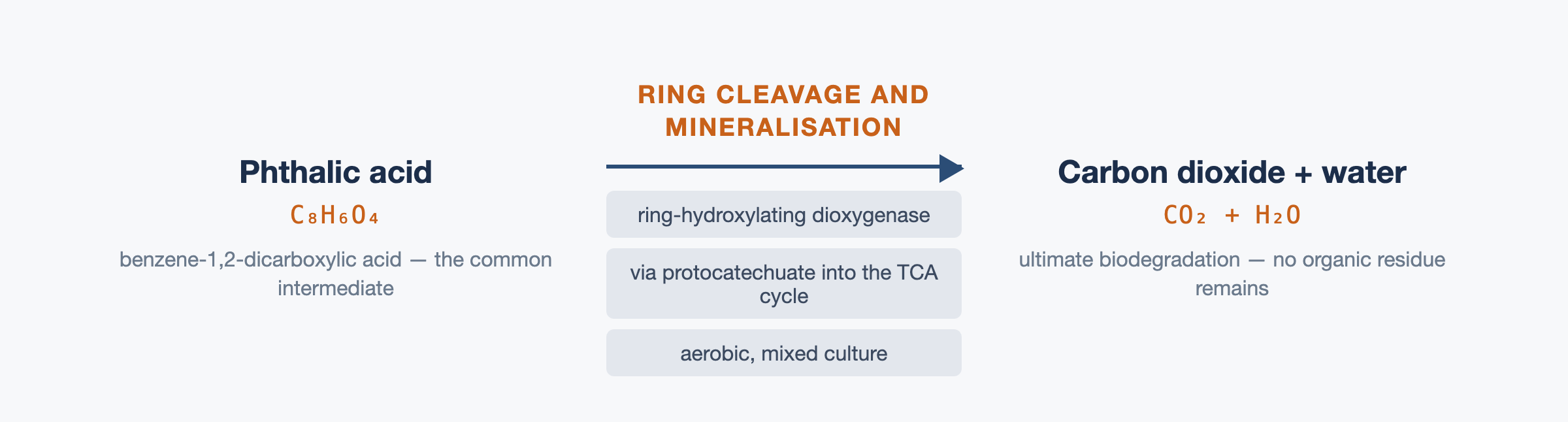 Biodegradación del ftalato de dioctilo: vía y cinética 2 Ruptura del anillo del ácido ftálico y mineralización a dióxido de carbono y agua a través del protocatecuato y el ciclo de Krebs.
